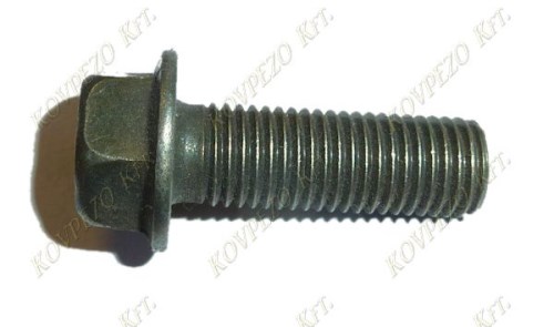 02. BOLT-FLANGED-BROWN-M10X40X1.25/25