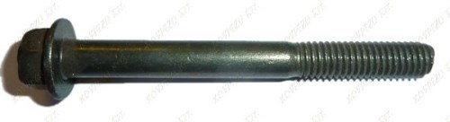 08. BOLT FLANGED BROWN M8X55X1.25/30